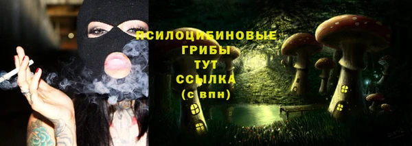 кокс Алексин