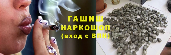 индика Новозыбков