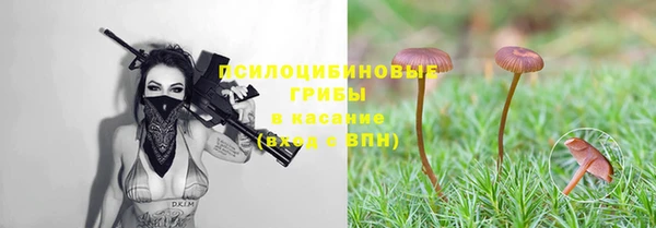 гидропоника Новодвинск