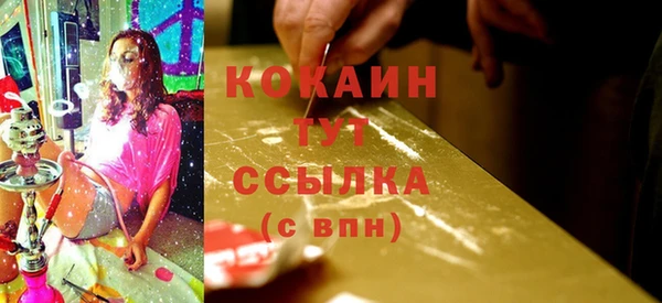 кокс Алексин