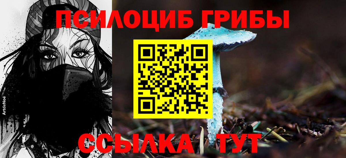 Псилоцибиновые грибы MAGIC MUSHROOMS  Галлюциногенные грибы Psilocybe  магазин продажи наркотиков  Вход с VPN  Ижевск 